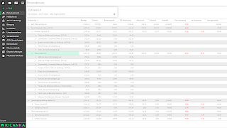 software-jugendhilfe-personaleinsatz-mitarbeiterkapazitaeten