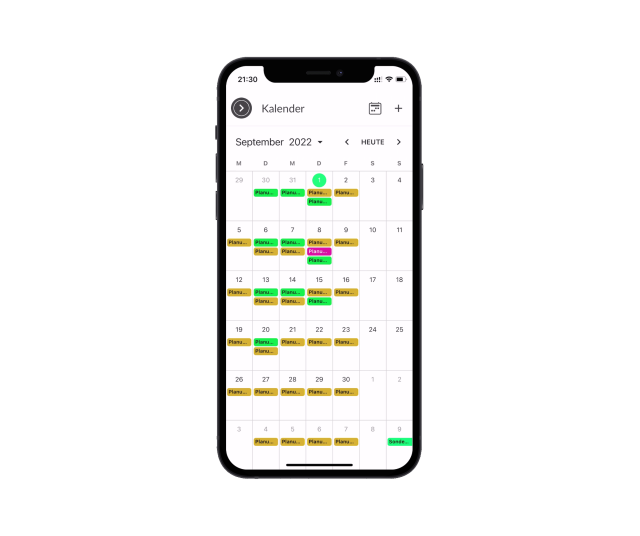 Monatsansicht mit Planungen im Kalender der Kilanka App